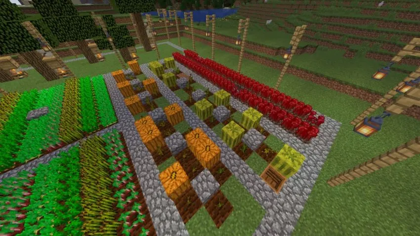 Gourd Garden in Minecraft